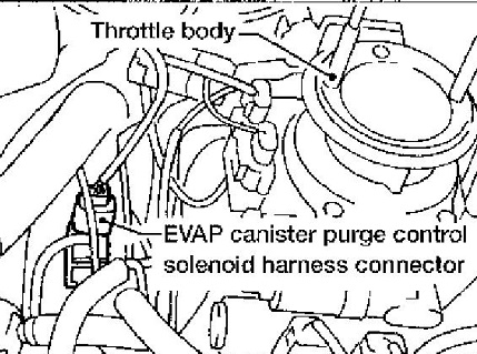 Nissan-Truck-Canister-Purge-Solenoid-Location.jpg
